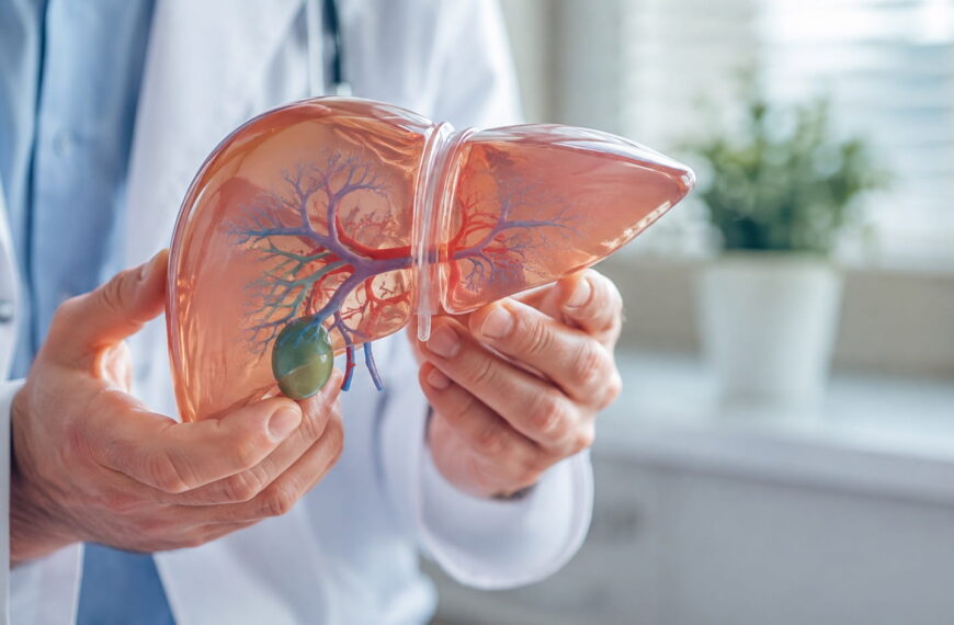 Doctor holding a transparent anatomical liver model, illustrating liver disease symptoms and liver health