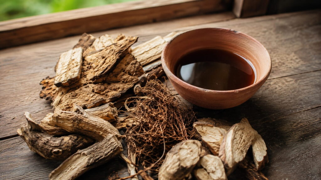Dried umhlabelo roots and prepared herbal mixture used in traditional South African medicine