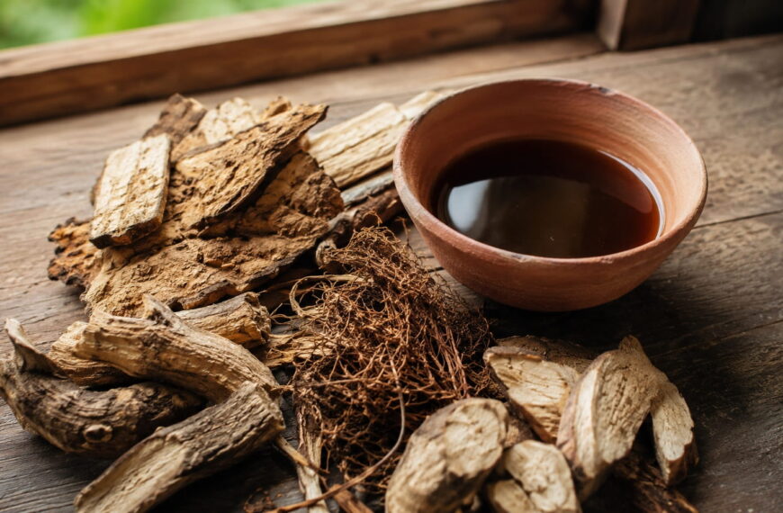 Dried umhlabelo roots and prepared herbal mixture used in traditional South African medicine