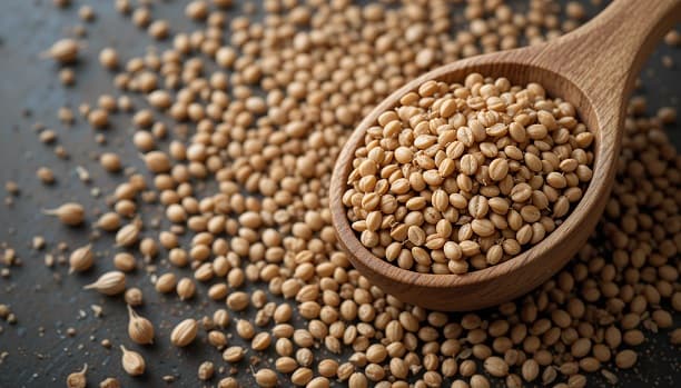 Buckwheat Health Benefits: A Nutrient-Packed Superfood for Your Diet. Discover the powerful health benefits of buckwheat! This gluten-free superfood is rich in nutrients, supports heart health, aids digestion, and boosts energy. Learn how to incorporate it into your diet today!