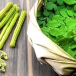 Moringa Benefits for Women and How to Use it: Discover amazing moringa benefits for women. Boost energy, balance hormones, improve skin, and support overall health naturally.