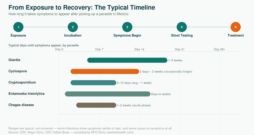 Timeline showing how long parasite from Mexico symptoms take to appear, comparing Giardia, Cyclospora, Cryptosporidium, Entamoeba, and Chagas incubation periods