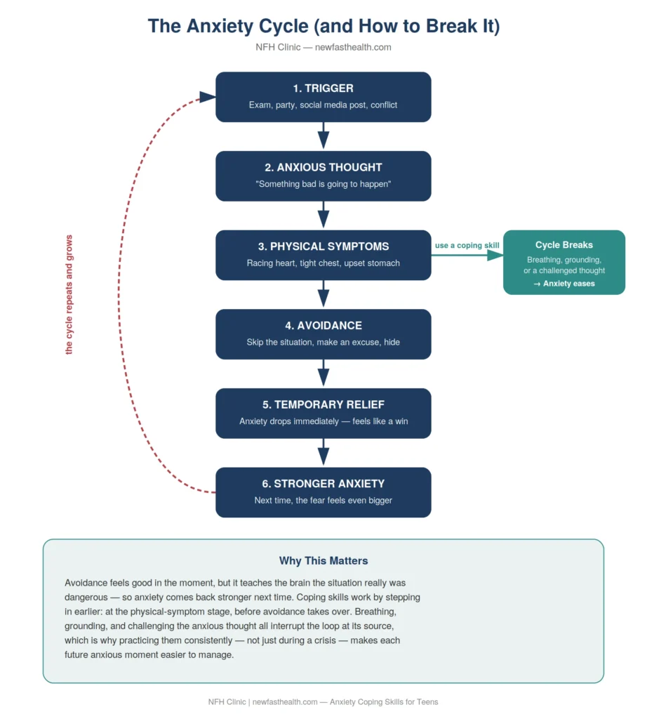 	The Anxiety Cycle diagram showing trigger, anxious thought, physical symptoms, avoidance, temporary relief, and stronger anxiety next time, with coping skills breaking the loop